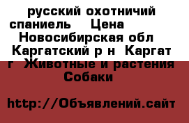 русский охотничий спаниель  › Цена ­ 2 000 - Новосибирская обл., Каргатский р-н, Каргат г. Животные и растения » Собаки   